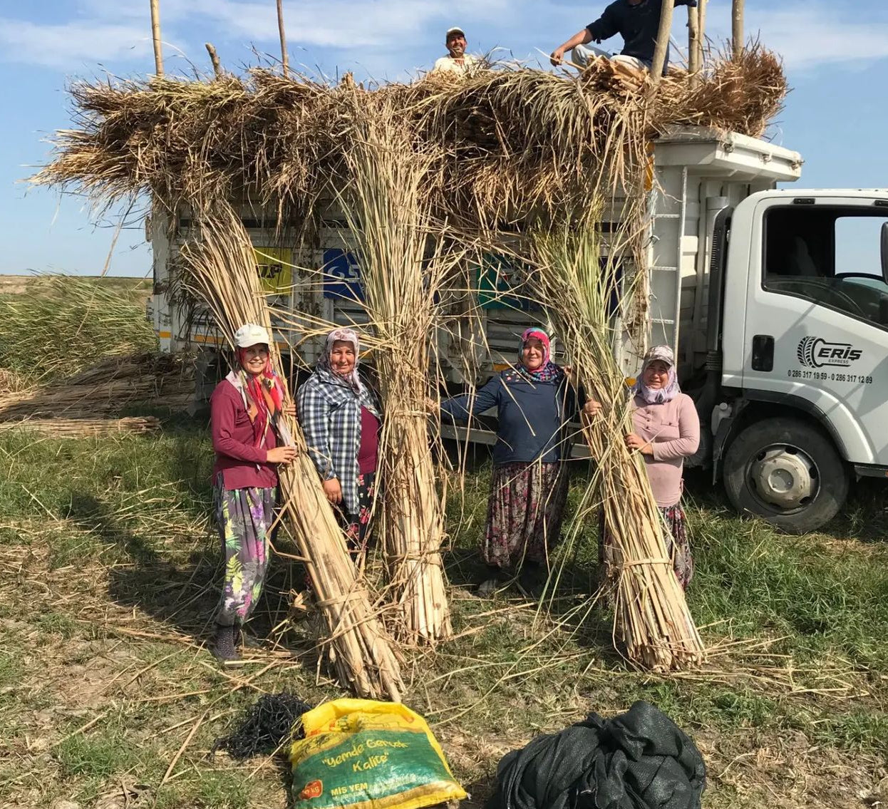 People with bundles of straw in a field next to a truck